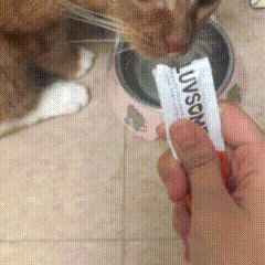 Treat time!